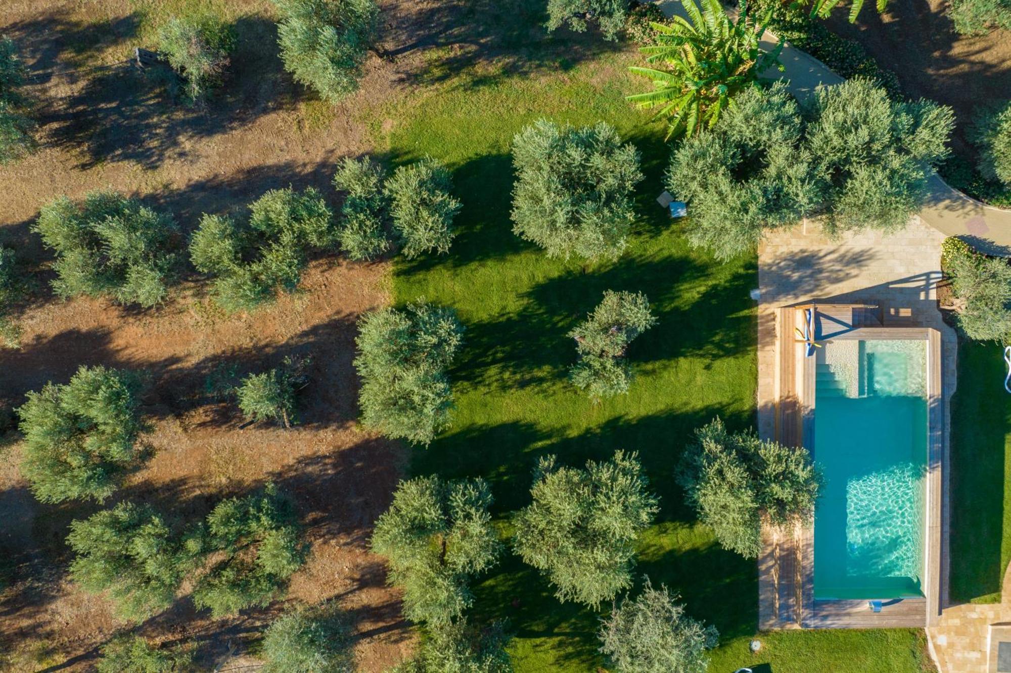 Dimora Tenuta Solentino Torre San Giovanni Extérieur photo