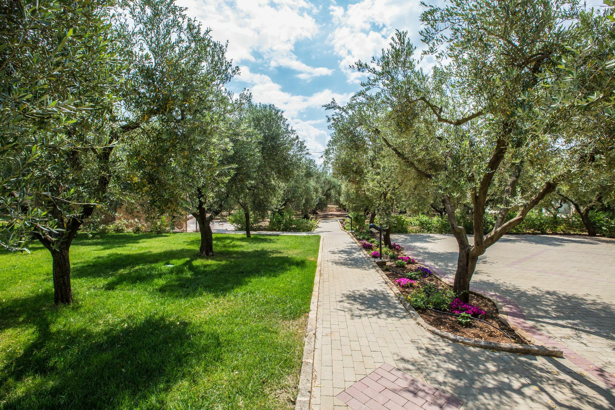 Dimora Tenuta Solentino Torre San Giovanni Extérieur photo